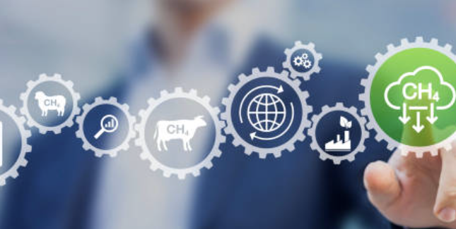 Skjermbilde 2025-03-19 150726